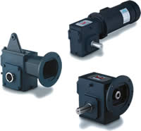 Leeson Worm Gear